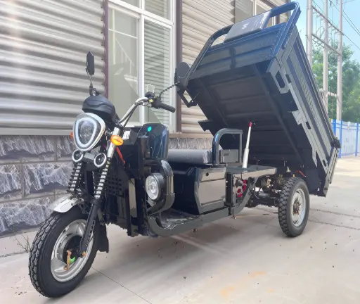 Triciclo Eléctrico